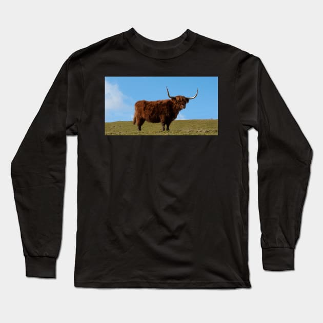 Highland Cow, Scotland Long Sleeve T-Shirt by Graz-Photos